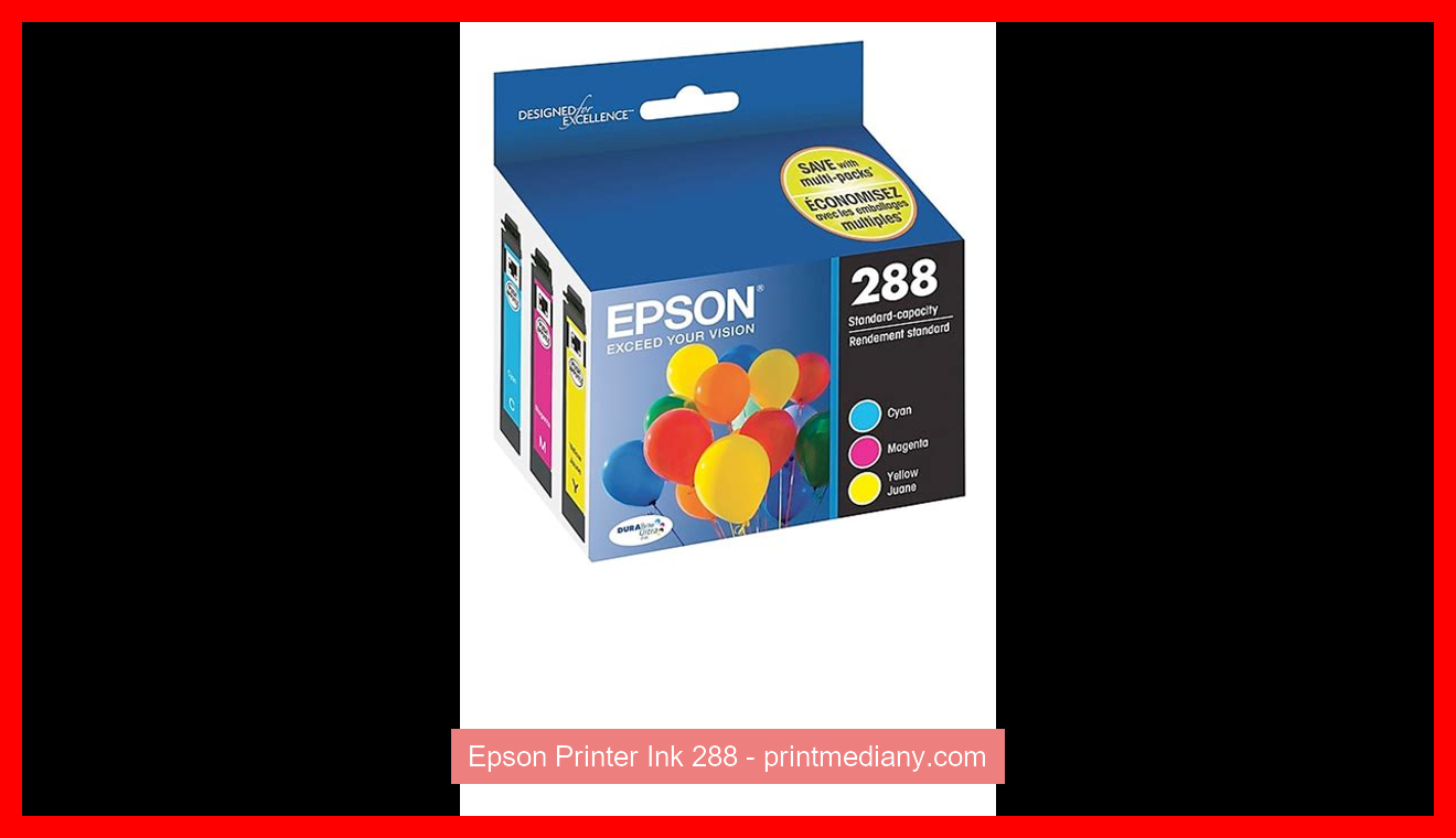 Epson Printer Ink 288