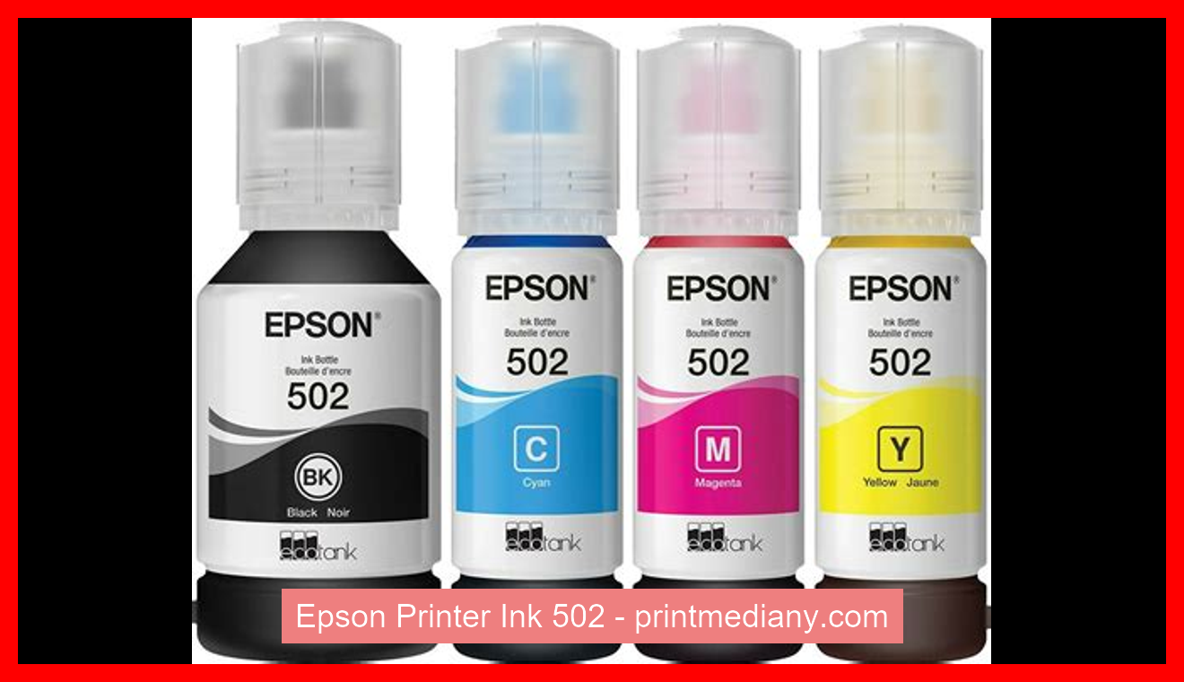Epson Printer Ink 502