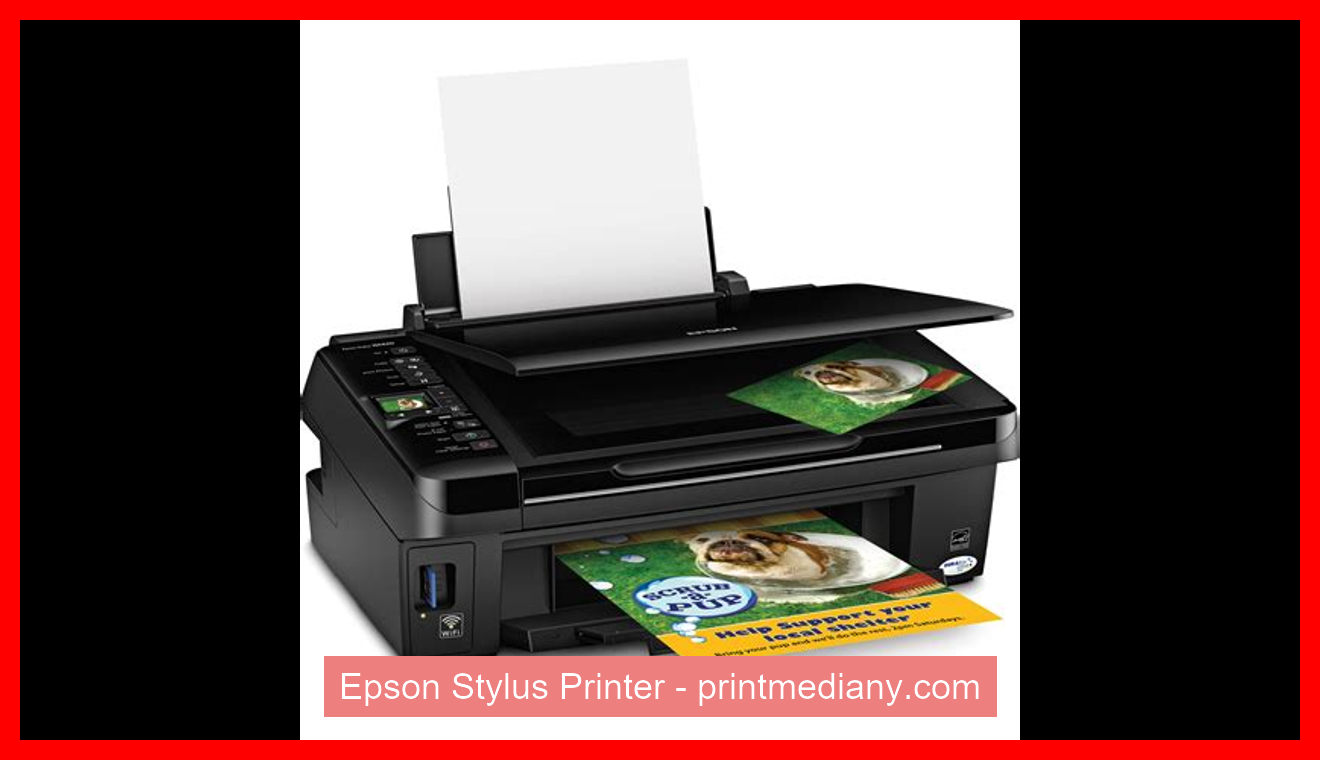 Epson Stylus Printer