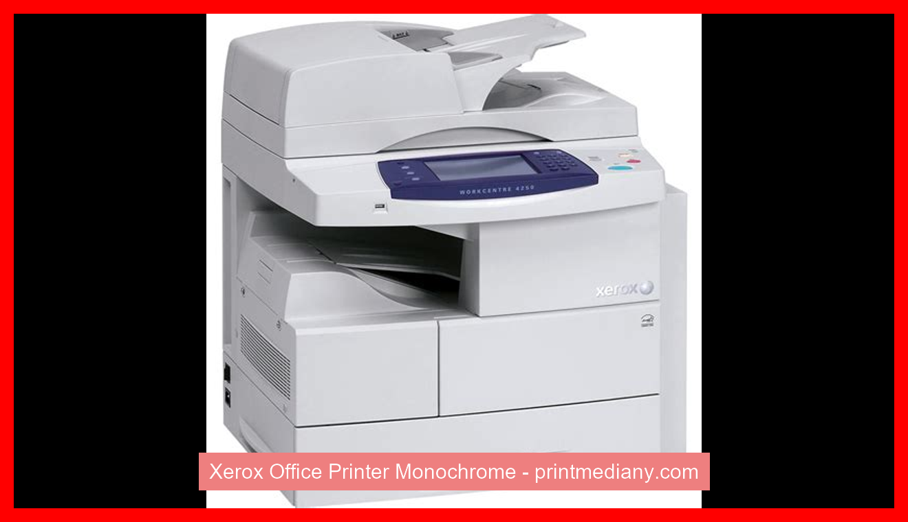Xerox Office Printer Monochrome